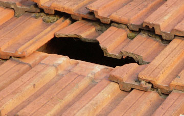 roof repair Shallowford