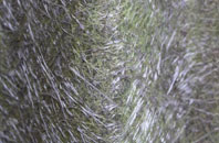 Shallowford fibreglass roof work